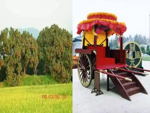 荔枝图序