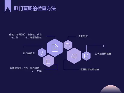 肛门直肠的检查方法