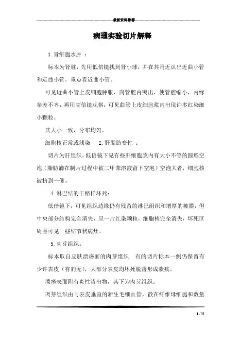 病理实验切片解释