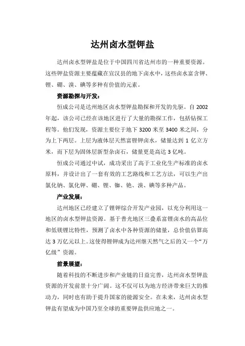达州卤水型钾盐