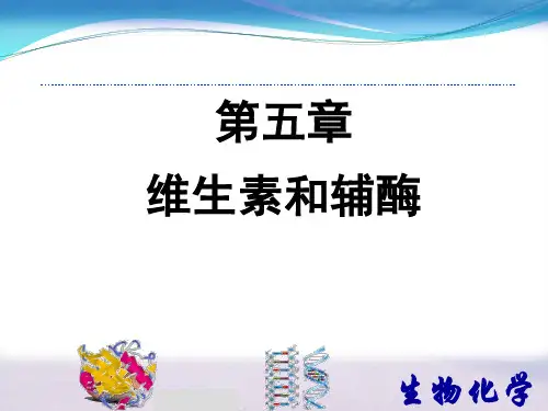 脂溶性维生素PPT课件