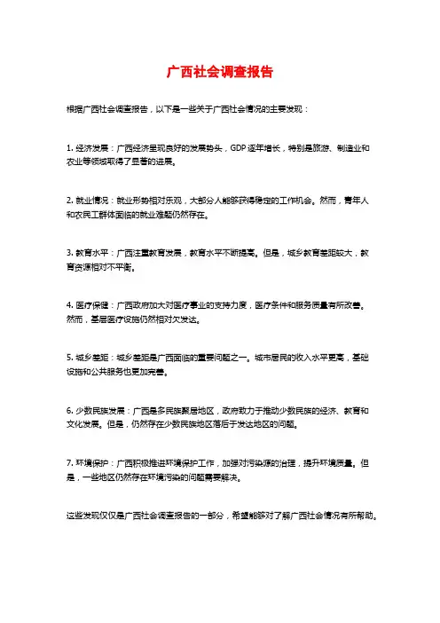 广西社会调查报告