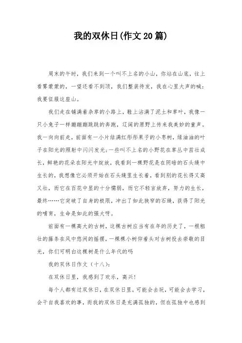 我的双休日(作文20篇)