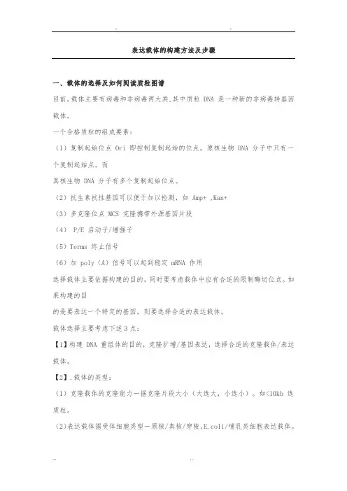 表达载体的构建方法与步骤