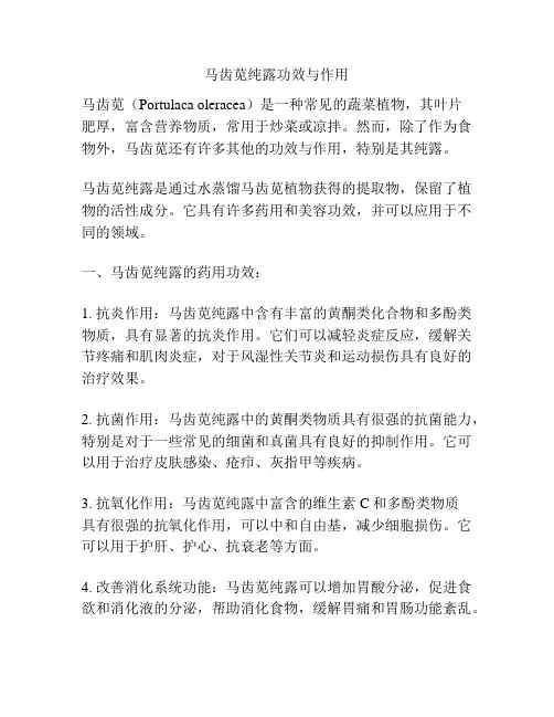 马齿苋纯露功效与作用