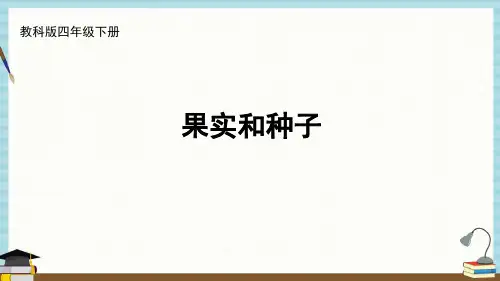 新教科版四年级下册科学课件 第一单元 植物的生长变化 第6课 果实和种子 