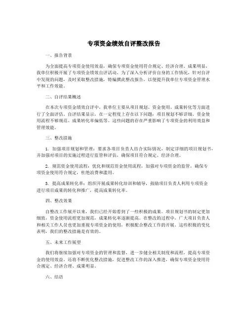 专项资金绩效自评整改报告