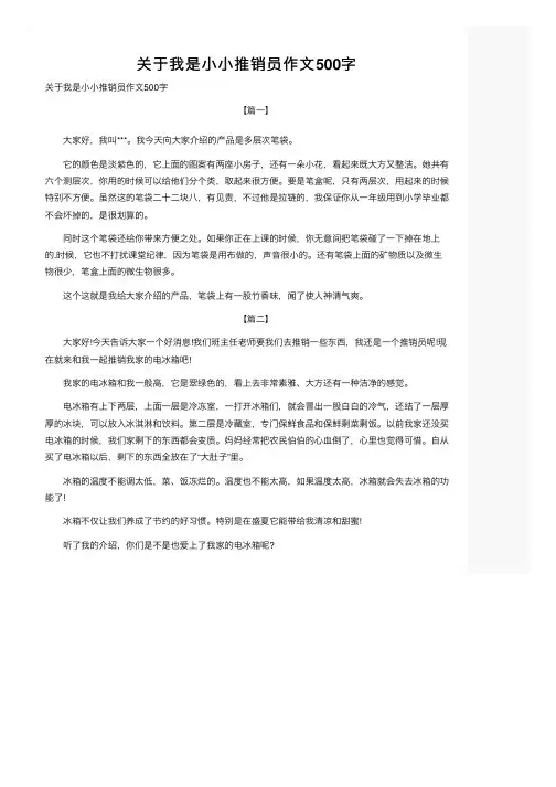 关于我是小小推销员作文500字
