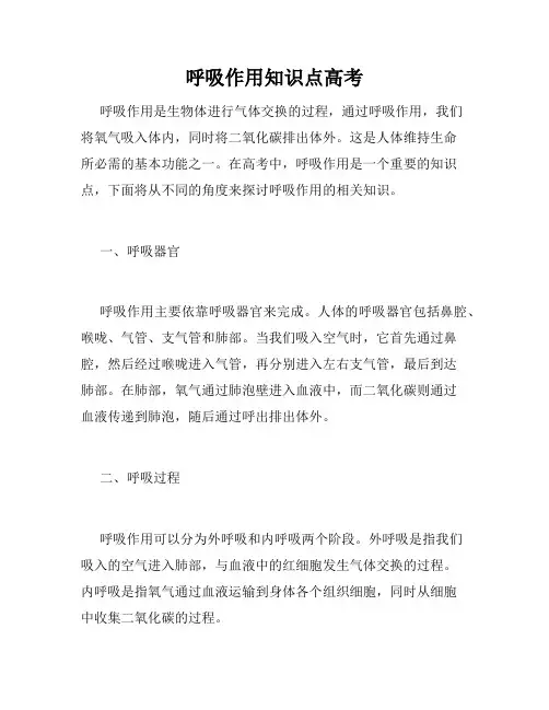呼吸作用知识点高考
