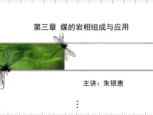 电子教案与课件：煤化学 课件 第三章煤的岩相组成第4节