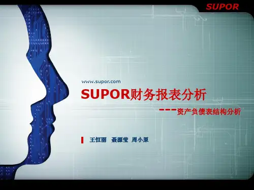 Supor财务报表分析