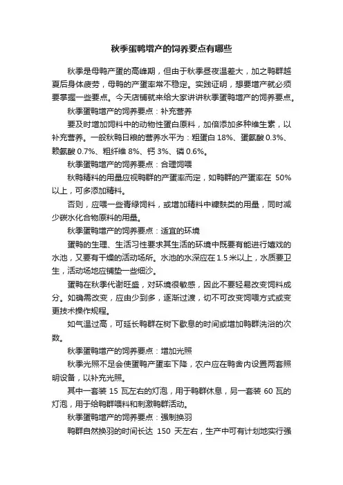 秋季蛋鸭增产的饲养要点有哪些