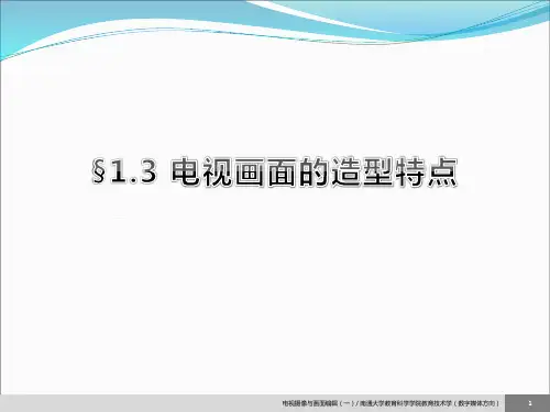 1.3 电视画面的造型特点(2014修改)