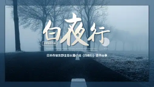 白夜行2-读书分享课件