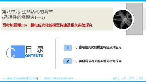 第八单元 高考加强课(15) 膜电位变化的模型构建及相关实验探究