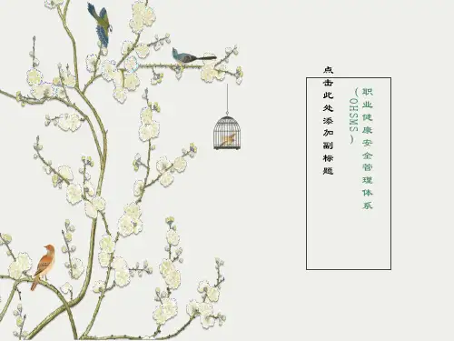 煤矿职业病安全管理(OHSMS)讲座PPT课件