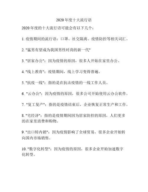 2020年度十大流行语