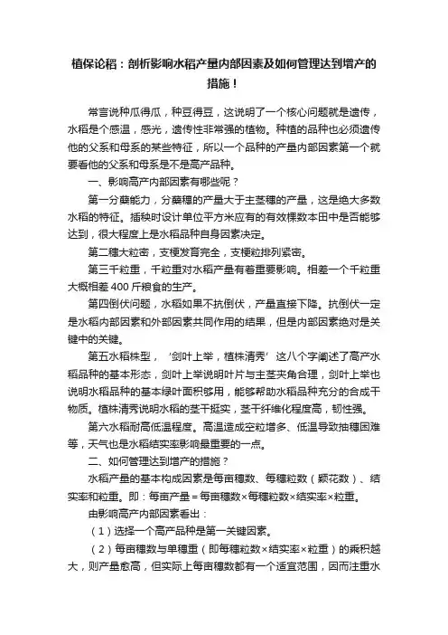 植保论稻：剖析影响水稻产量内部因素及如何管理达到增产的措施！