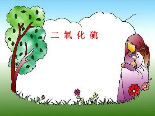 二氧化硫1