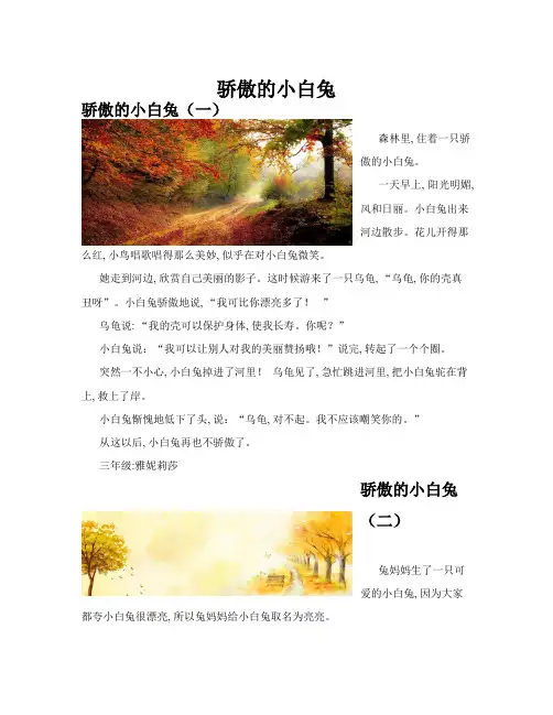 骄傲的小白兔(共10篇)