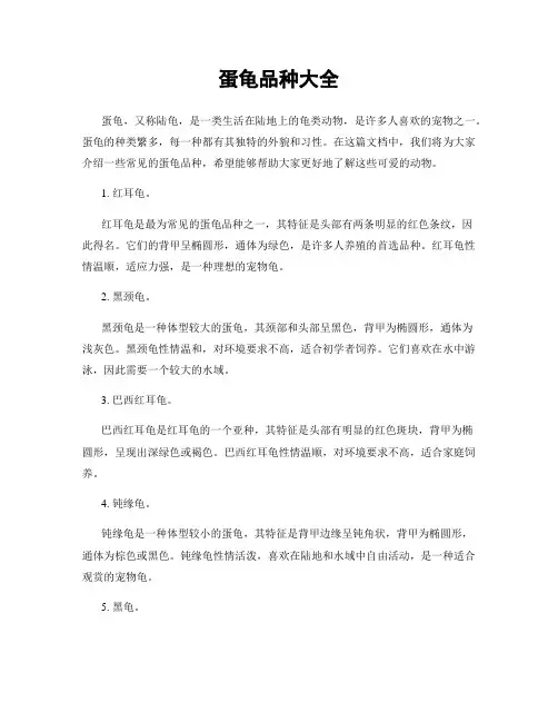 蛋龟品种大全