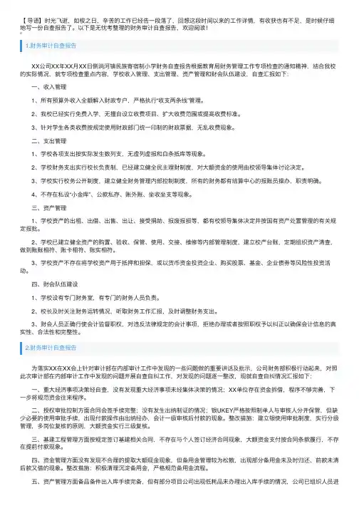 财务审计自查报告5篇