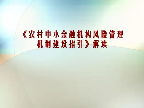 农村中小金融机构风险管理机制建设指引解读