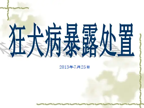 88 狂犬病预防暴露处置工作规范【30页】