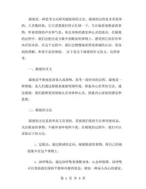 凝视作文范文