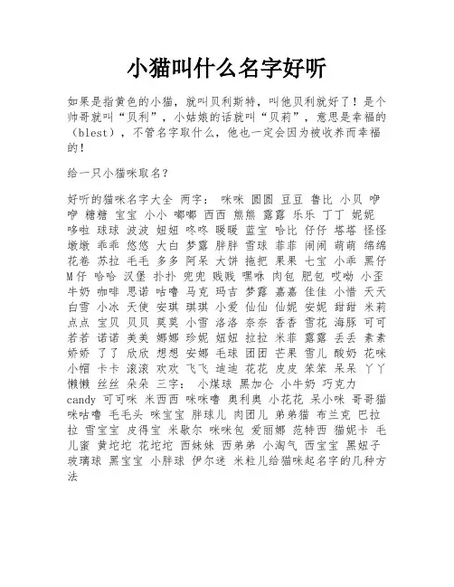 小猫叫什么名字好听
