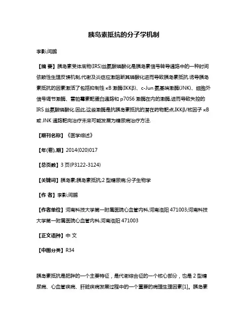 胰岛素抵抗的分子学机制