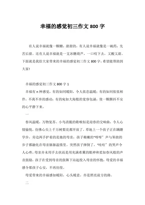 (初三作文)幸福的感觉初三作文800字