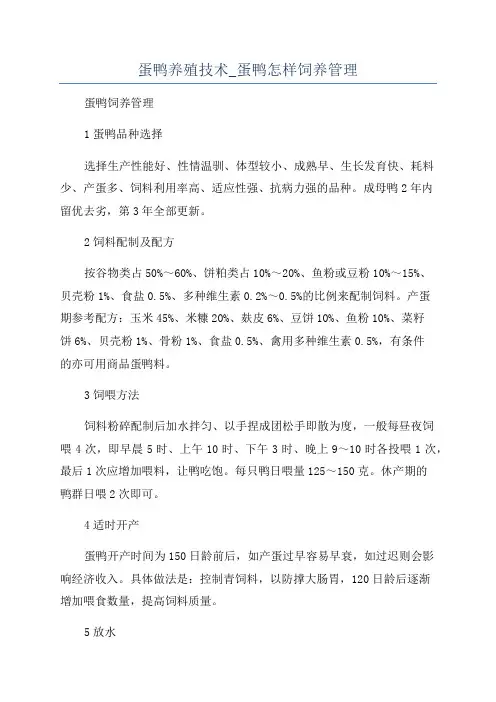 蛋鸭养殖技术_蛋鸭怎样饲养管理