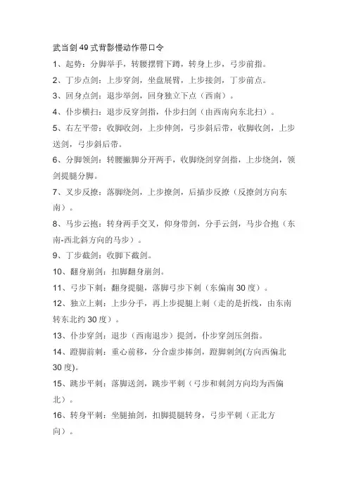 武当剑49式背影慢动作带口令