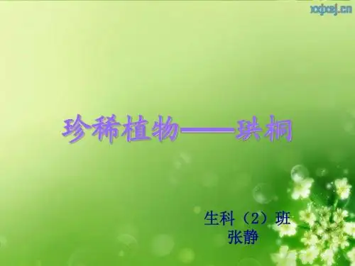 珍稀植物——珙桐