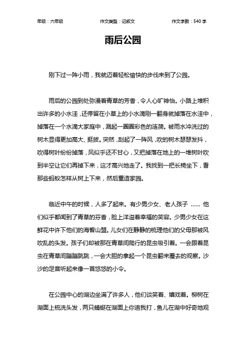 雨后公园作文【小学六年级500字】