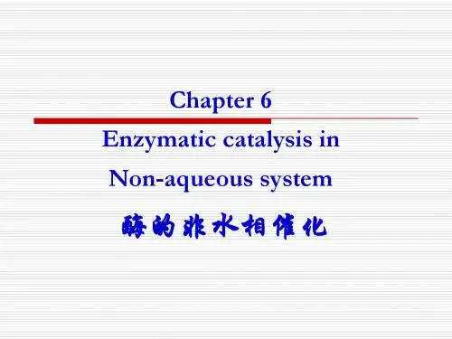 6酶的非水相催化