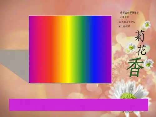 高考复习寻找辨析成语误用的角度ppt