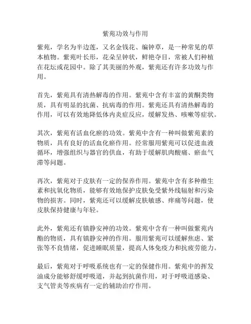 紫苑功效与作用