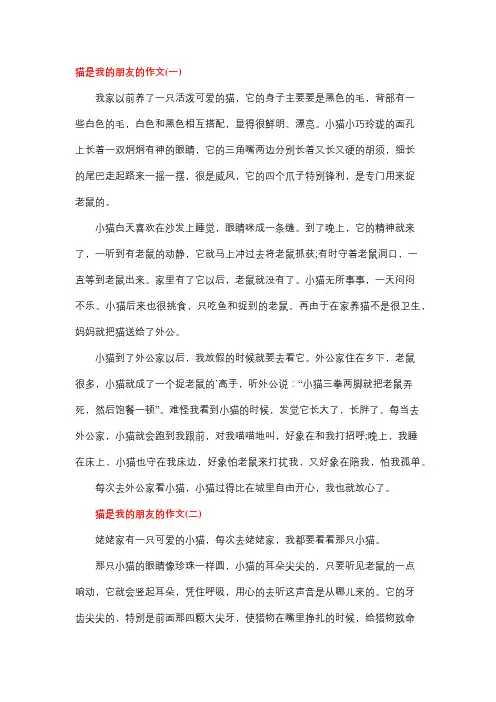 猫咪是人类的好朋友作文