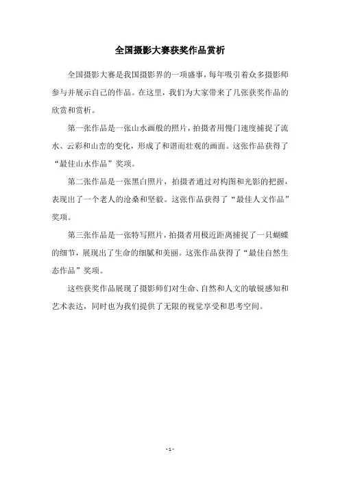 全国摄影大赛获奖作品赏析