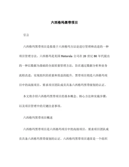 六西格玛黑带项目