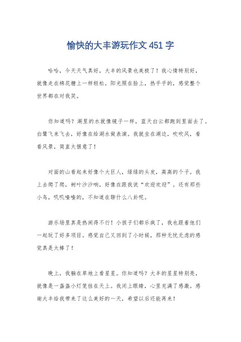 愉快的大丰游玩作文451字