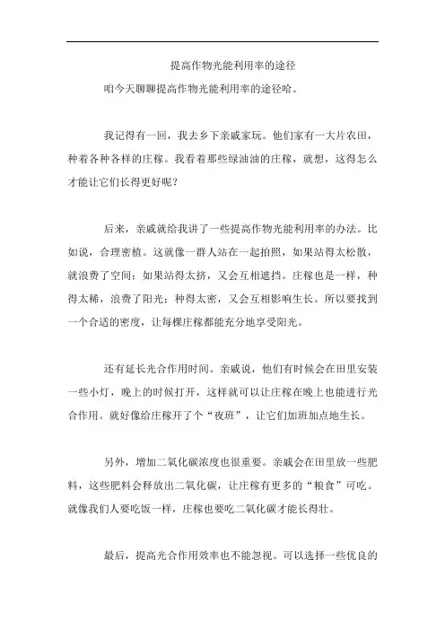 提高作物光能利用率的途径