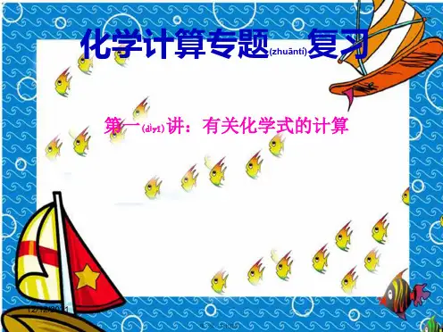 中考化学专题复习 化学计算 第一讲 有关化学式的计算课件