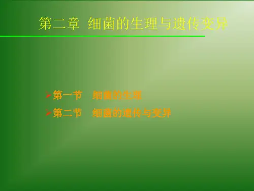 第二章细菌的生理