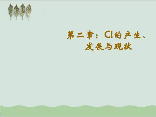 CI战略的产生发展和现状PPT课件( 53页)