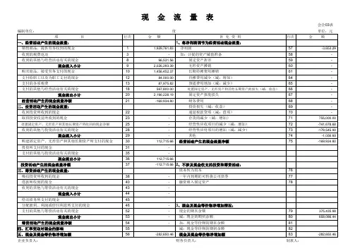 自动编制现金流量表(会计制度)(1)