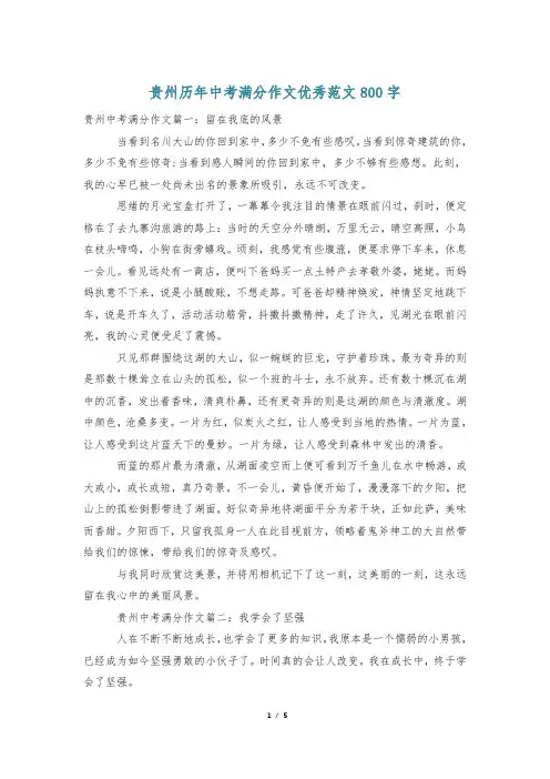 贵州历年中考满分作文优秀范文800字