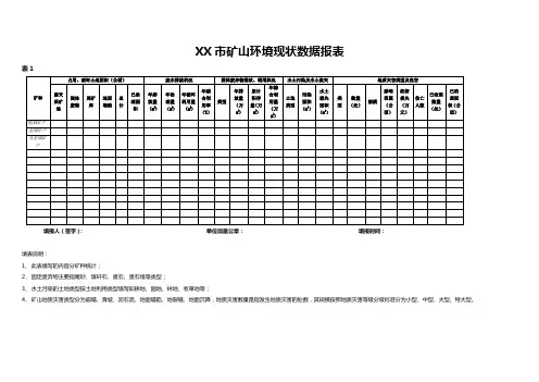 XX市矿山环境现状数据报表.